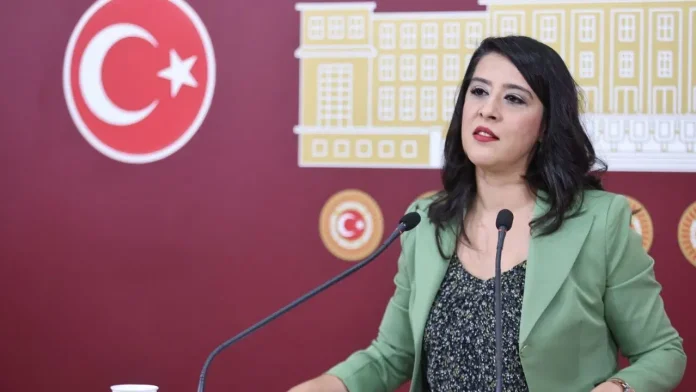 Sevda Karaca’dan ‘Süper Yetki’ Yasasına Sert Eleştiri “Bu, Uluslararası Yağmanın Yasallaşmasıdır”
