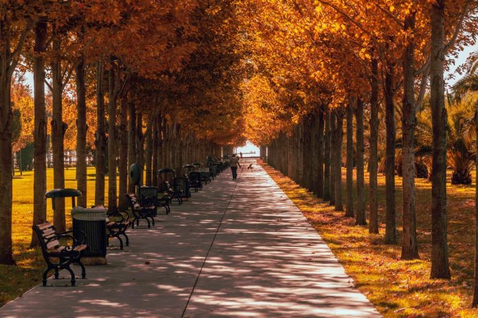 Türkiye Hafif Bir Sonbahar Yaşıyor Meteorologlar Kış Tahminini Açıkladı