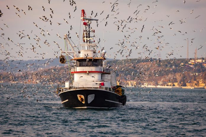 Yunanistan'dan AB'ye Doğu Akdeniz Çağrısı Balıkçılık Faaliyetlerine Müdahale Talebi